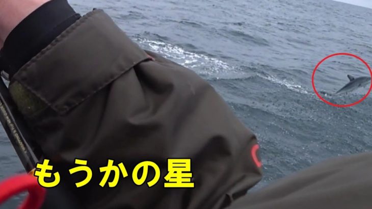 [衝撃映像]テンヤロッドでサメを掛けた結果・・・