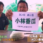 『小林香瓜：こばやしかおりうり』あじ瓜・甘露を食レポ！：北海道 富良野 メロン農家の寺坂農園