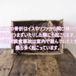 ペットの室内の事故 ～ペットリフォーム　愛犬家住宅　埼玉県～