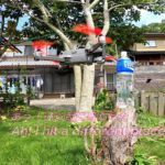 ドローンでペットボトルチャレンジ『PET bottle challenge with Drone』