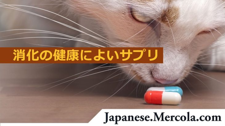 人気のあるペットフードのサプリメント: 消化の健康によいサプリ