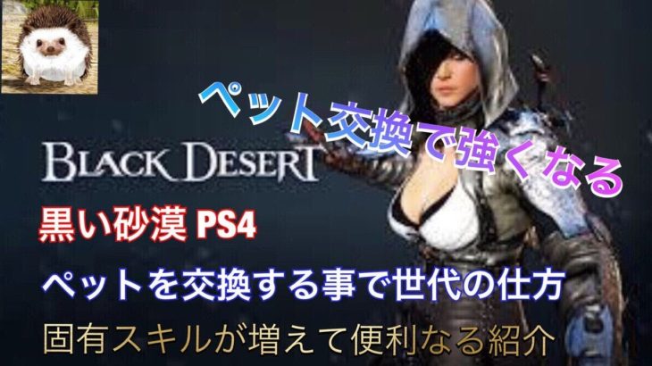 【Black Desert 黒い砂漠 PS4】便利 ペットを交換する事で固有スキルアップ等の紹介