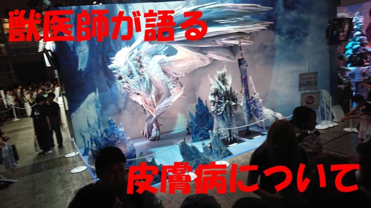 獣医師が語るペットの皮膚病について