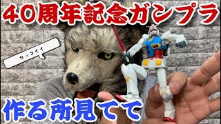 【実践】【商品レビュー】ガンプラ40周年！ゼロから作ってみた【Wolfin made a Gundam model】