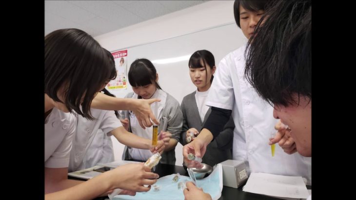 ペットケア・ビジネス学科　授業風景　動物専門学校 トリマー 動物看護師 アクアリウム 動物のお仕事