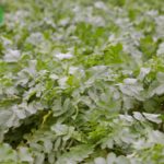 荒井商事株式会社様_食品流通事業部紹介