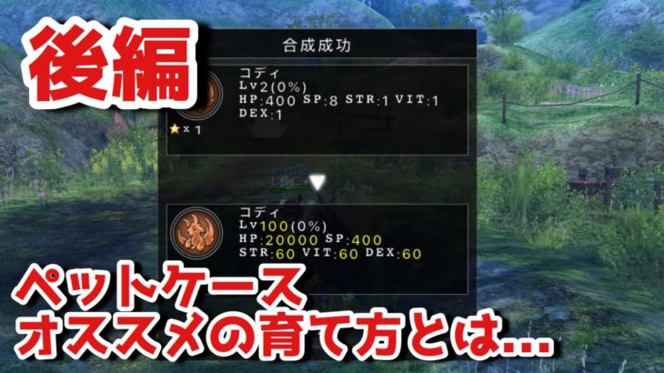 ペットケースについて勉強しよう！ 後編【AVABEL ONLINE】