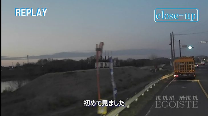 埼玉県内の川沿いを珍しいペットがお散歩