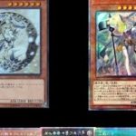 【遊戯王】オリパ新商品　1/2への挑戦！　紹介