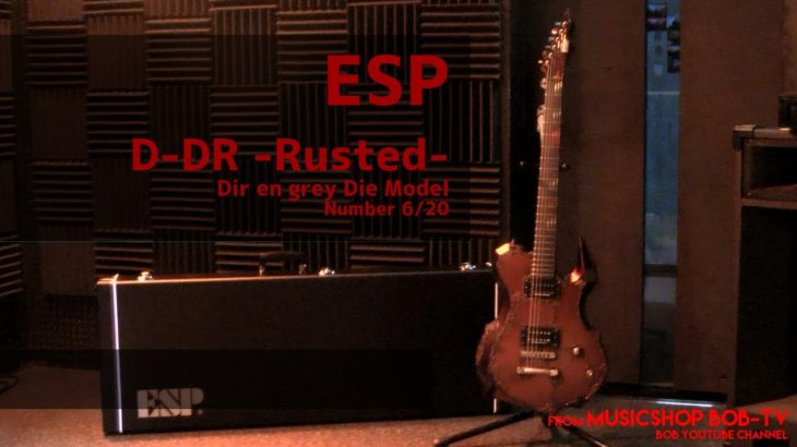 ESP D-DR -Rusted-【商品紹介】Dir en grey Die Model 6/20