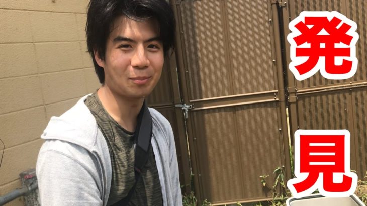 草むらでカエルを見つけた26歳の男性の反応がふわふわしています。