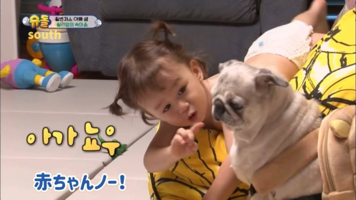 [日本語字幕]もしペットが喋ったらウィリアムは？(4) スーパーマンが帰ってきた