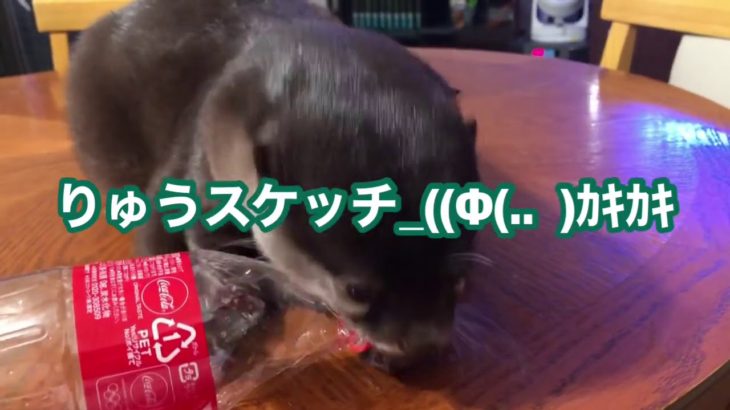 りゅうスケッチ_((Ф(..  )ｶｷｶｷ ペットボトル潰し:;(∩｀皿´∩);: