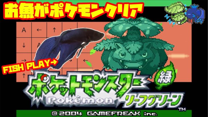 【1639h~_シルフカンパニー編】ペットの魚がポケモンクリア_Fish Play Pokemon【作業用BGM】