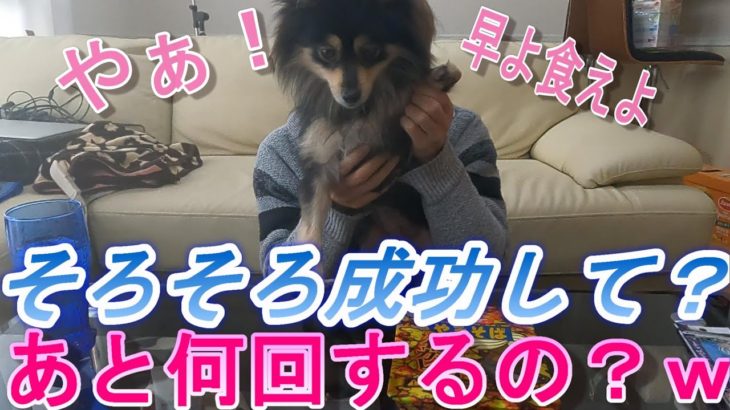 打倒！フィッシャーズ、シルクロードさん！その記録塗り替えてやる！！＃５