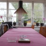 New segment Slimemold