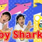 【うた】Baby Shark★こたみのチャンネルとコラボ★サメのかぞく|ちびサメ|ベイビーシャーク【こどものうた・童謡・手遊び・キッズ・ダンス】Nursery Rhymes & Kids Songs