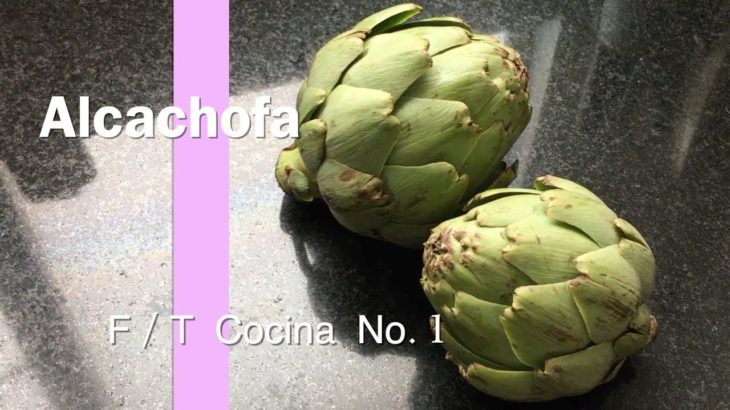 [THE FIRST TAKE]　初めて作る料理を動画に撮ってみた