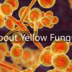 Yellow fungus cases reported in UP: Know why it can prove more dangerous than black, white fungus