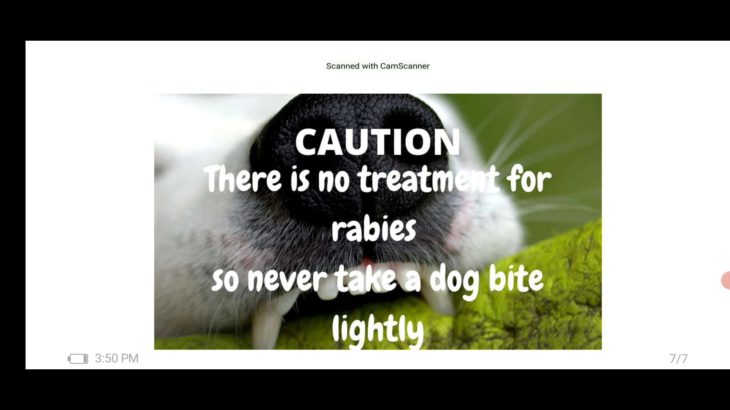 dog bite first aid_dogclinicfaizabad.mp4