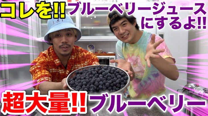 100％ブルーベリージュース作ってみたら予想しない展開に！？