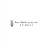 Professional Termite Inspection In Brisbane