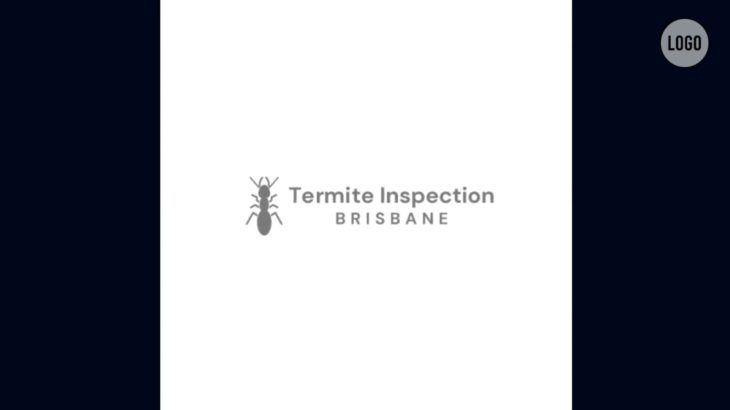 Professional Termite Inspection In Brisbane