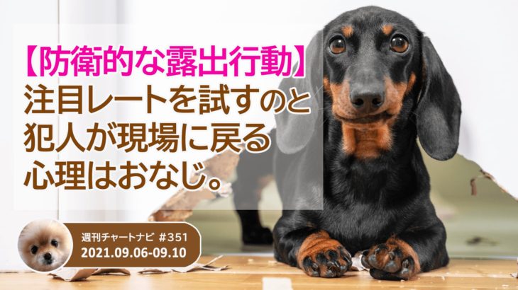 【防衛的な露出行動】相場が注目レートを試すのと、犯人が現場に戻る心理は同じ。/週ナビ#351