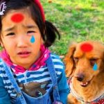 手当てごっこ　いたいよ〜ばんそうこはって！The Boo Boo Song