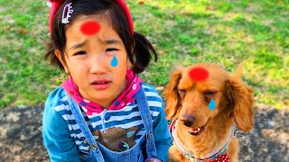 手当てごっこ　いたいよ〜ばんそうこはって！The Boo Boo Song