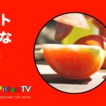 PittenTV_TOMATO_#003