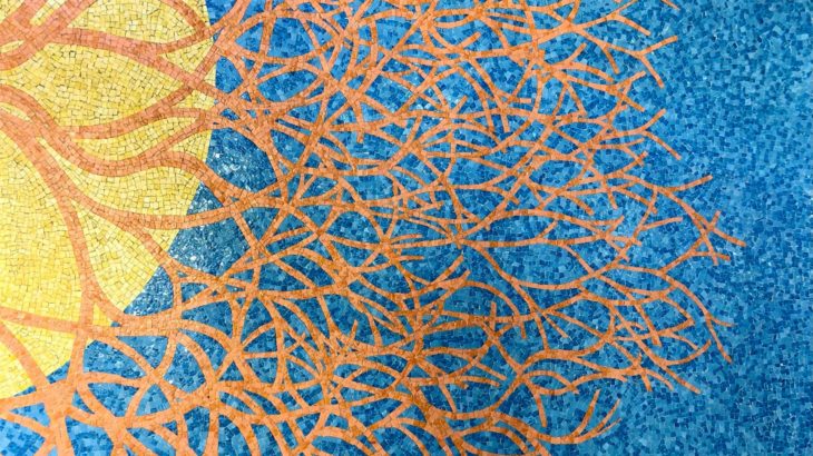 trailer for Growth, a sound art experience in San Francisco