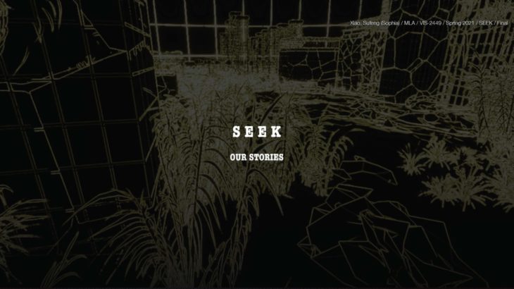 SEEK: Our Stories