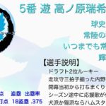 【架空球団】2021年常陸ブルーキングフィッシャーズ1-9(応援歌)