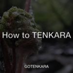 テンカラ釣りの釣り方予告[How  to TENKARA]
