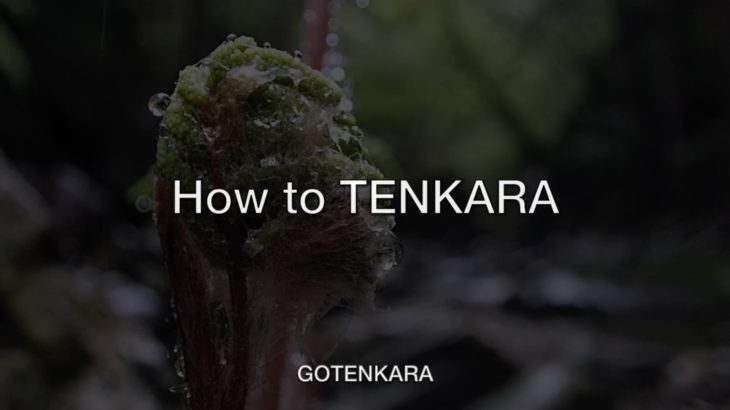 テンカラ釣りの釣り方予告[How  to TENKARA]