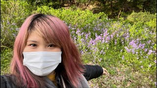 83kgデブ 森林の中を1時間ウォーキング！【100日ダイエット33日目】