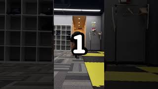 アブローラーチャレンジ2日目！　#shorts #筋トレ #ダイエット