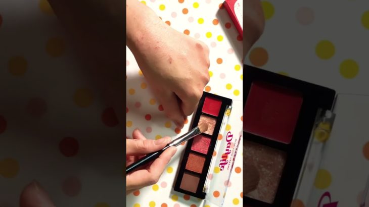 ニコラ9月号付録 デイライフ5色メイクパレット Nicola2022年 #ニコラ付録