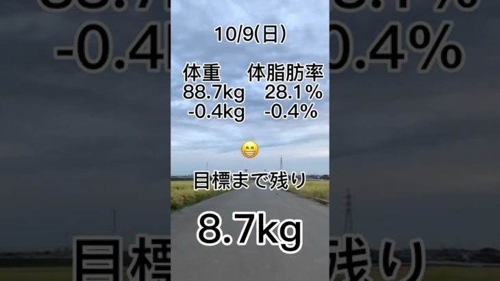 『一ヶ月で10kg減量』ダイエット月間8日目