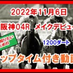 メイクデビュー ルイス 2022年11月6日 阪神 04R 1200ダート 2歳新馬  ラップタイム付き動画
