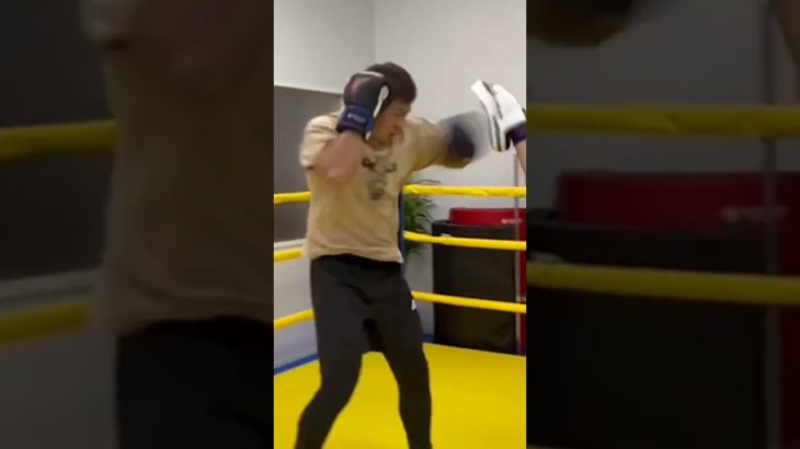 パンチミット #格闘技 #トレーニング #ブレイキングダウン #筋トレ