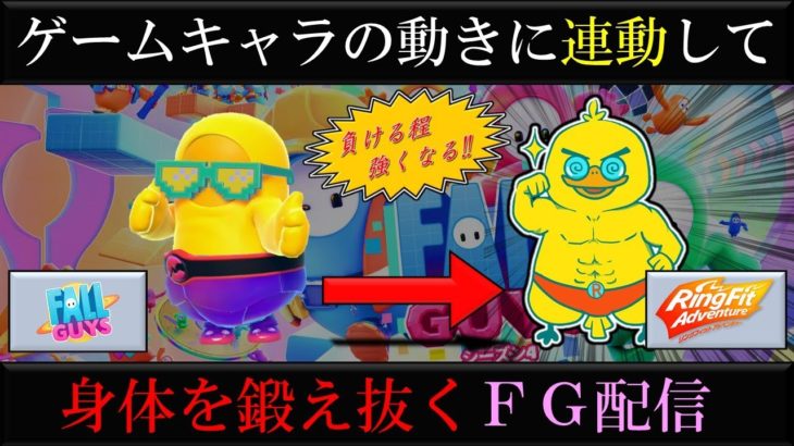 【Fall Guys】参加型FG配信と見せかけた筋トレ配信※リングフィットアドベンチャー同時プレイ