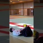 〈 #aikido 〉Help with training!〈 #baby 〉【合気道】筋トレのお手伝い【赤ちゃん】