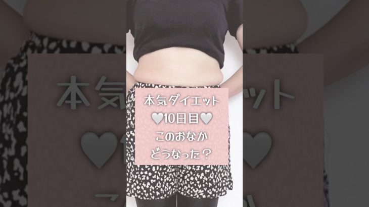 【ダイエット初心者】開始10日目のおなかがこちらです#shorts #reraruraチャンネル #ruraの方です