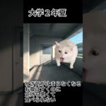 【猫ミーム】がりがり大学生が細マッチョ目指して筋トレした話＃筋トレ＃細マッチョ