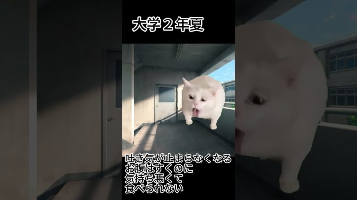 【猫ミーム】がりがり大学生が細マッチョ目指して筋トレした話＃筋トレ＃細マッチョ