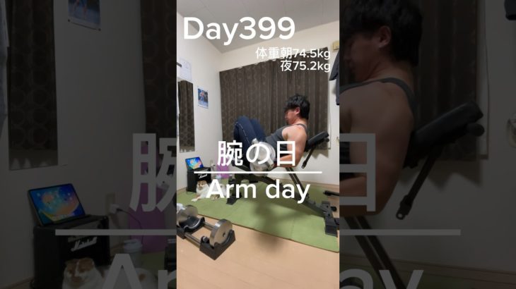 【筋トレ399日目】腕の日#筋トレ#トレーニング#腕トレ#gym#ホームジム#muscle#biceps#triceps#shorts #fitness#workout #training