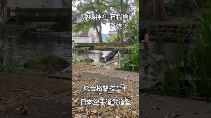 拳立て #武道塾 #空手 #総合格闘技 #筋トレ #松山市  #東温市