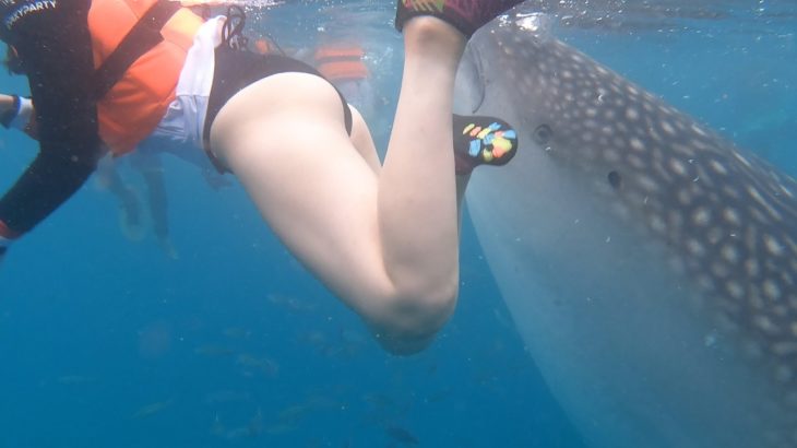 海外でサメに追い回される筋トレ女子